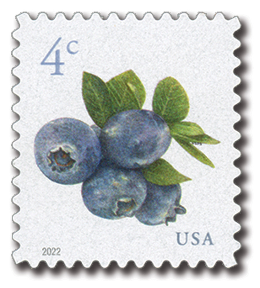 5652 - 2022 4c Blueberries (sheet stamp) - Mystic Stamp Company