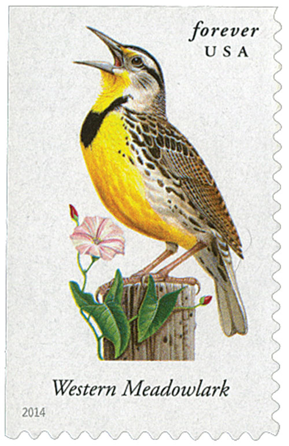 415473 -- Mint Stamp(s) -- Mint Stamp(s)