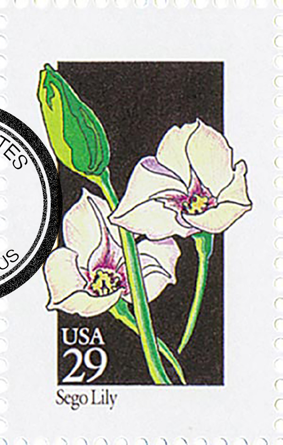 2667 - 1992 29c Wildflowers: Sego Lily - Mystic Stamp Company