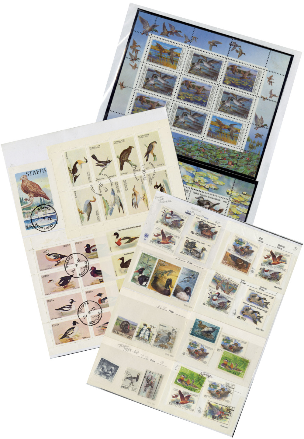 1315619 -- Worldwide Collection -- Worldwide Collection