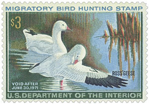 RW37 - 1970 $3.00 Federal Duck Stamp - Ross Geese - Mystic Stamp  display picture 1