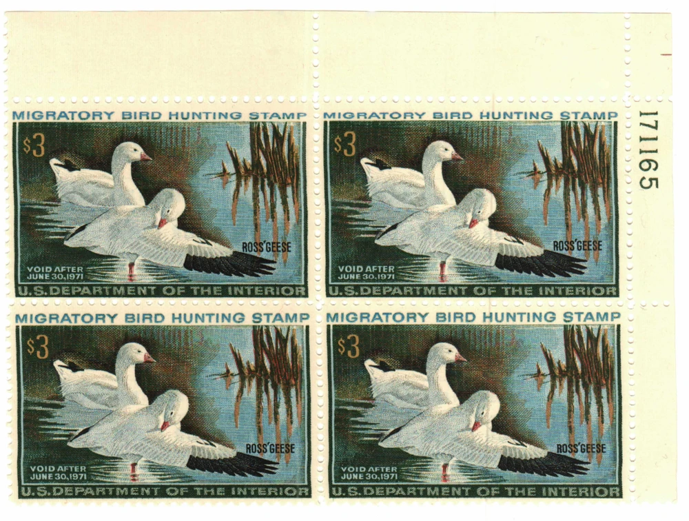 RW37 - 1970 $3.00 Federal Duck Stamp - Ross Geese - Mystic Stamp