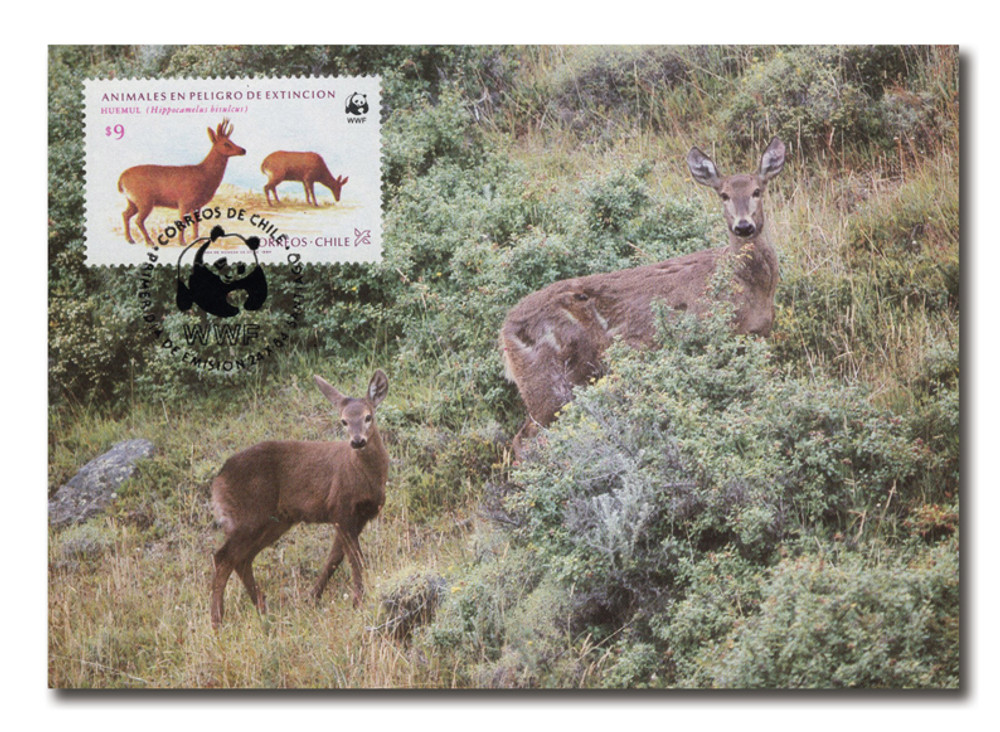 1034060 -- Special Event Cover or Card -- Special Event Cover