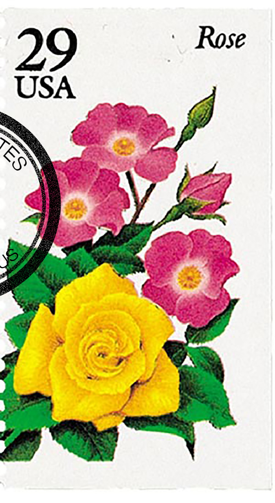 サイン本　STEPHANIE HOUSLEY CORAL & TUSK 匿名配送 サイン本 STEPHANIE HOUSLEY CORAL & TUSK 匿名配送 サイン本