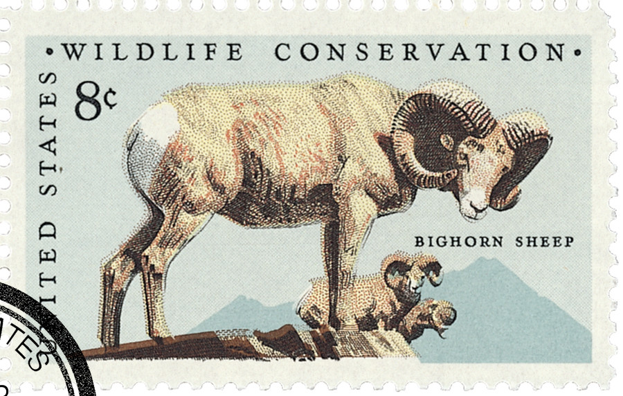 1467 - 1972 8c Wildlife Conservation: Bighorn Sheep - Mystic Stamp