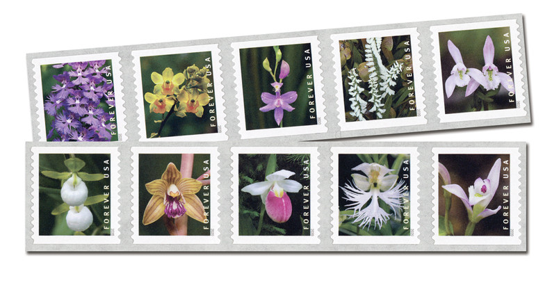 5435-44 - 2020 First Class Forever Stamp - Wild Orchids (Coil  display picture 1