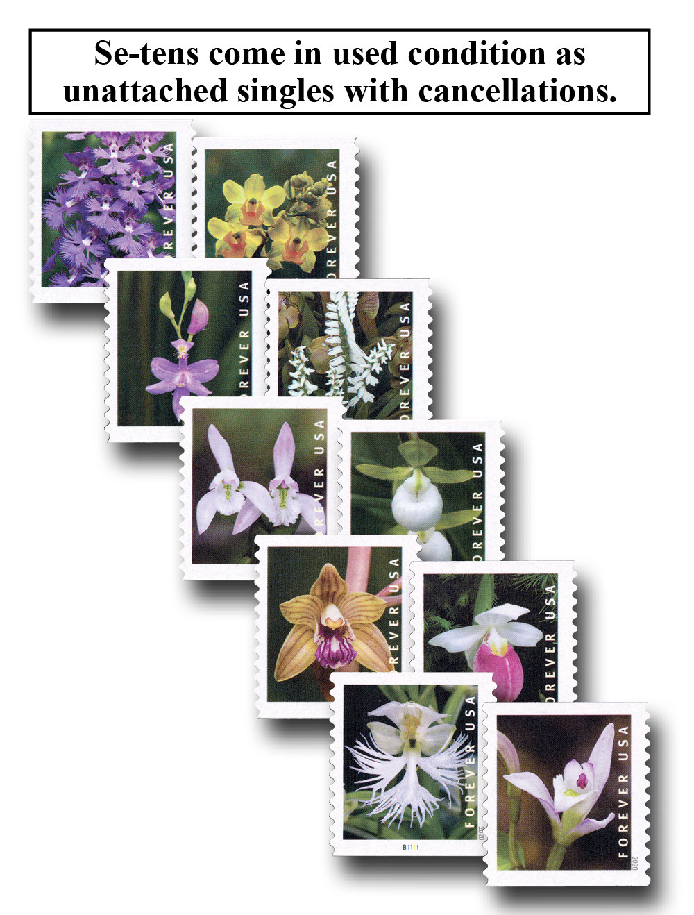 5435-44 - 2020 First Class Forever Stamp - Wild Orchids (Coil