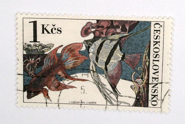2009 - 1975 Czechoslovakia - Mystic Stamp Company display picture 1