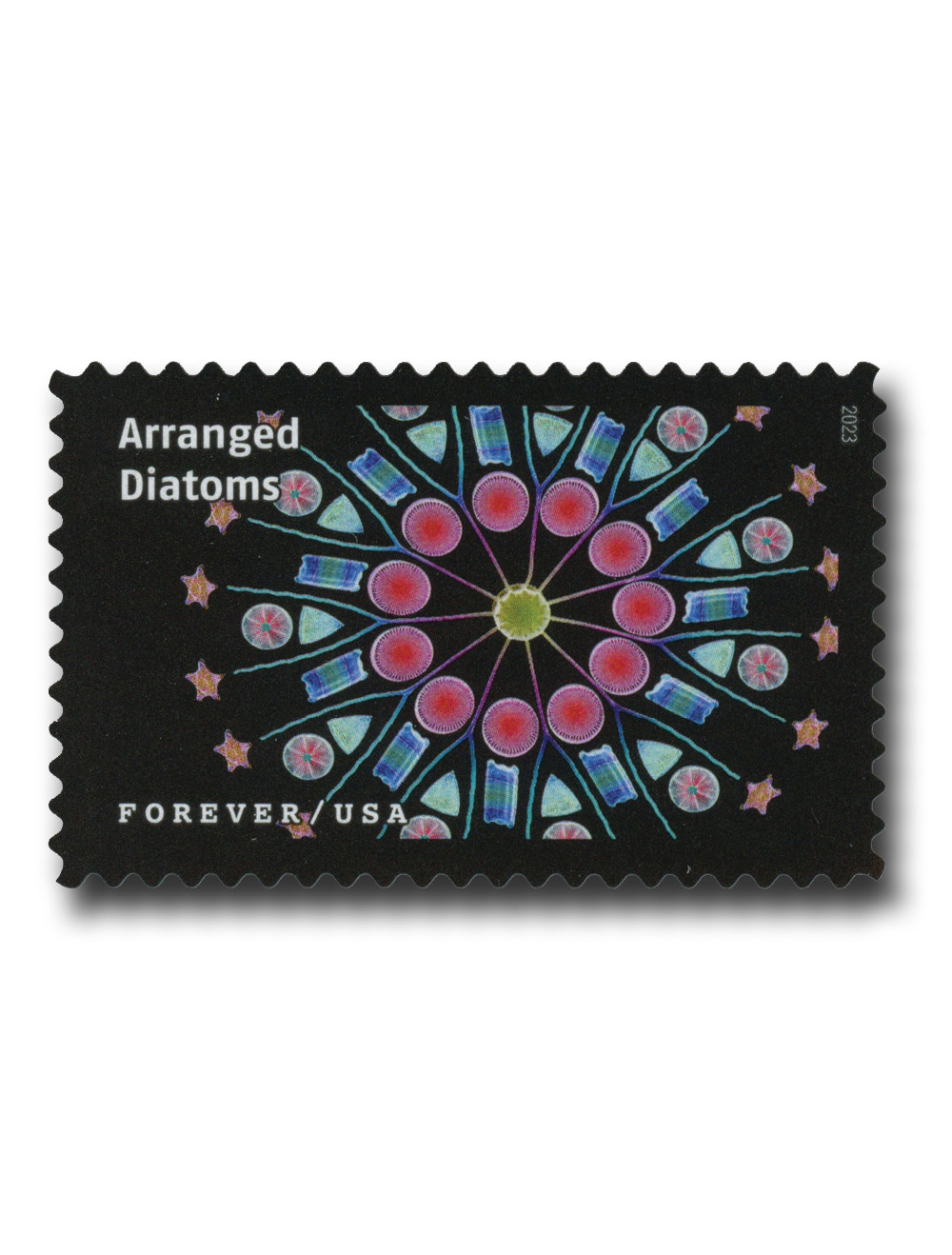 5802e - 2023 First-Class Forever Stamp - Life Magnified: Arranged