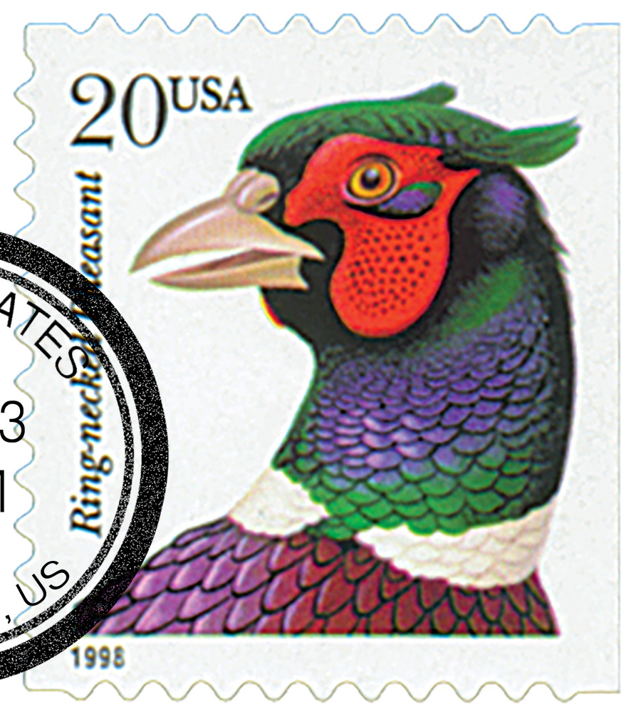 3050 - 1998 20c Flora & Fauna Series: Ring-Necked Pheasant, Perf