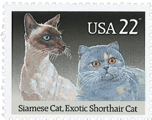 2372 - 1988 22c Cats: Siamese & Exotic Shorthair - Mystic Stamp