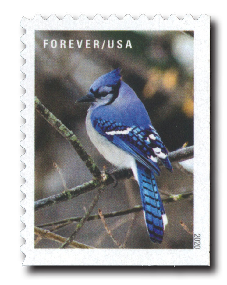 切手007 5537 - 2020 First-Class Forever Stamps - Winter Scenes: Blue Jay