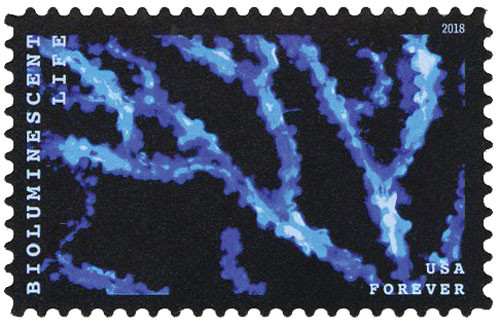 5269 - 2018 First-Class Forever Stamp - Bioluminescent Life
