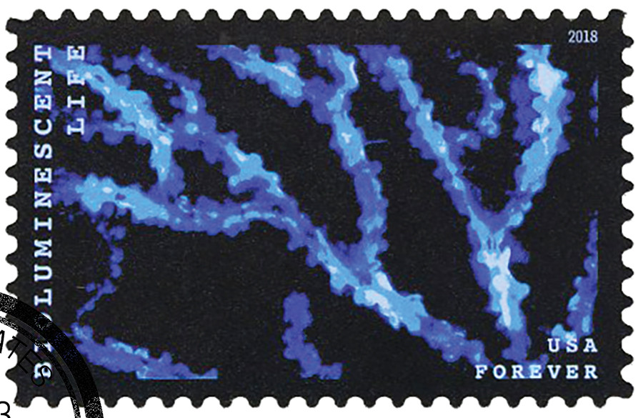 5269 - 2018 First-Class Forever Stamp - Bioluminescent Life