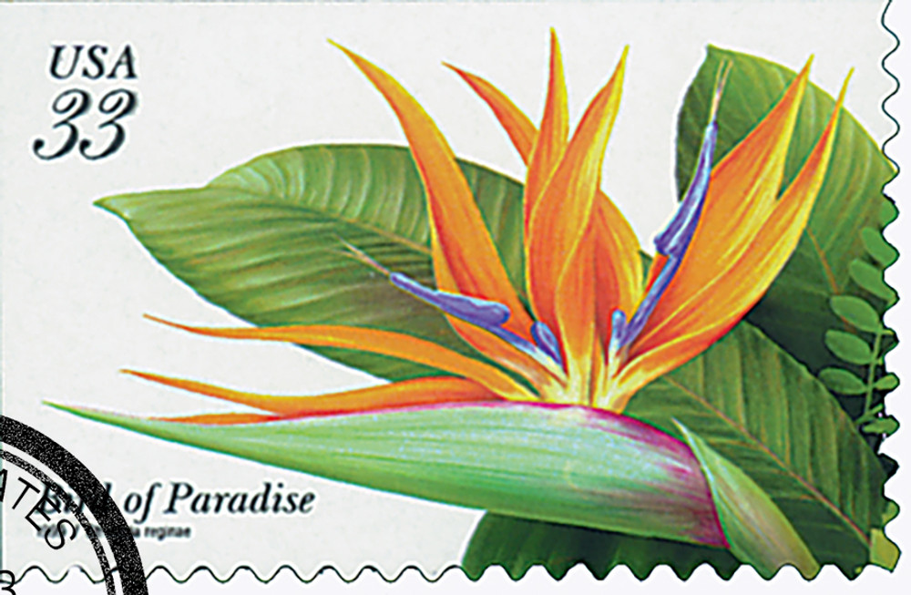 324323 -- Used Single Stamp(s) -- Used Stamp(s)