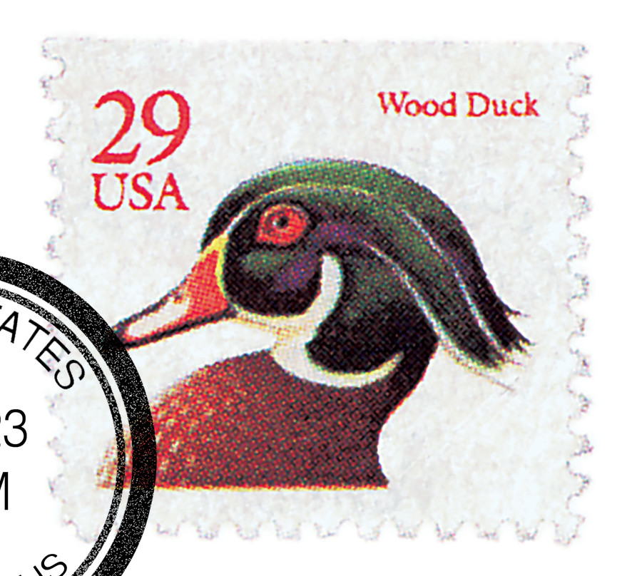 2485 - 1991 29c Flora & Fauna Series: Wood Duck, Red - Mystic
