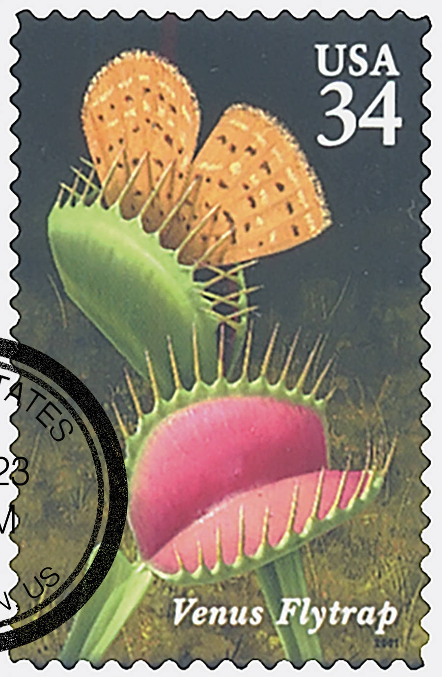 3528 - 2001 34c Carnivorous Plants: Venus Flytrap - Mystic Stamp