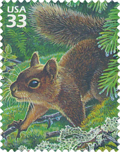 3378i - 2000 33c Pacific Coast Rain Forest: Douglas Squirrel