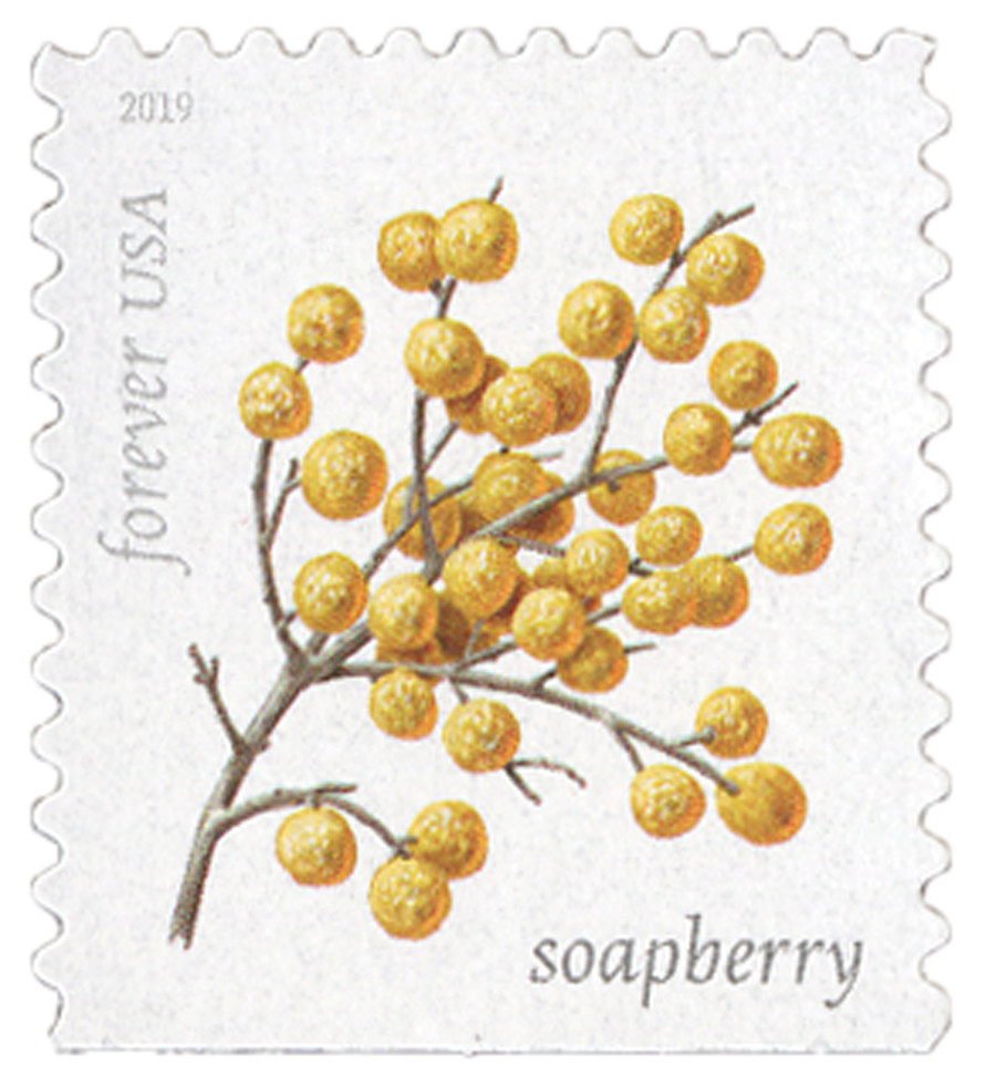 5418 - 2019 First-Class Forever Stamp - Winter Berries: Soapberry