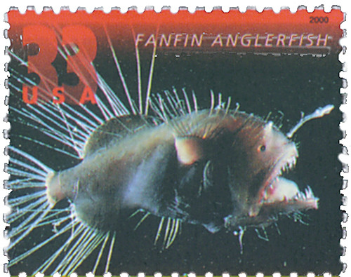 コンピュータ・IT Deep Sea Fishes Monsters or masters of the deep sea? Why the deepest of deep-sea