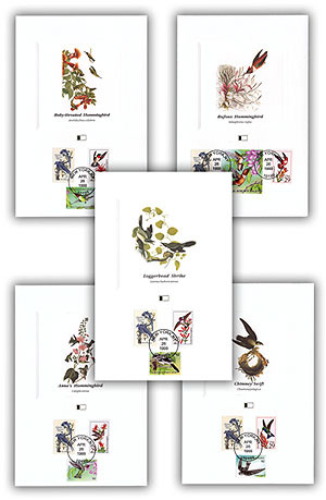 美品 Hummingbird PU付エレアコ G社シール２枚 USAストラップ Hummingbird Rubber Cling Stamp