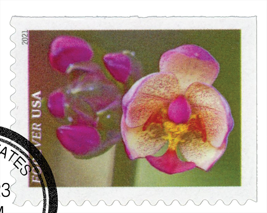 5561 - 2021 First-Class Forever Stamps - Garden Beauty: Pink Moth