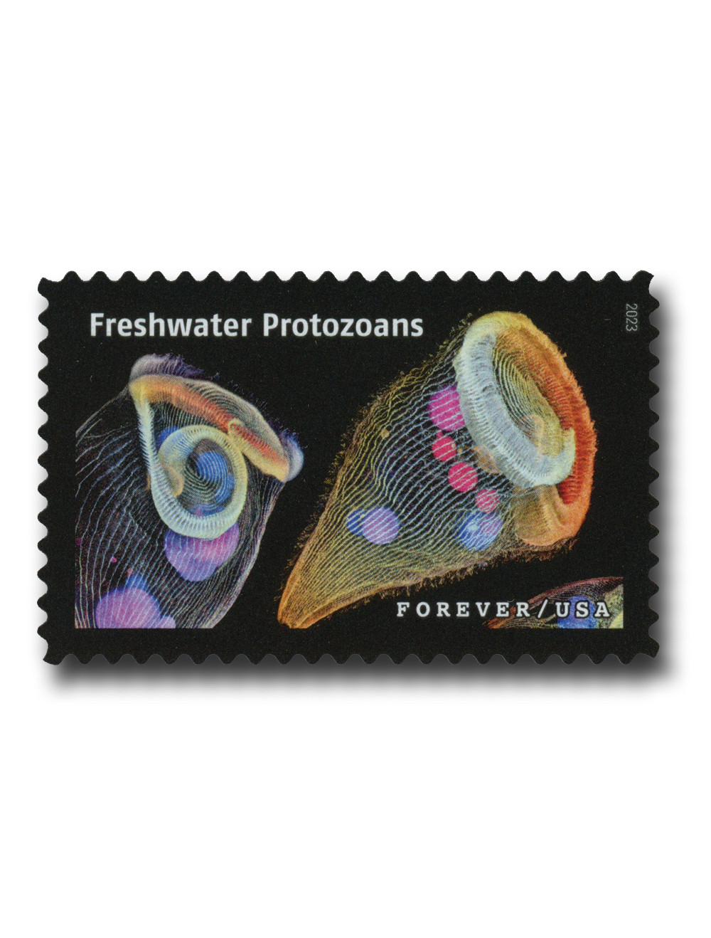 1457084 -- Mint Stamp(s) -- Mint Stamp(s)