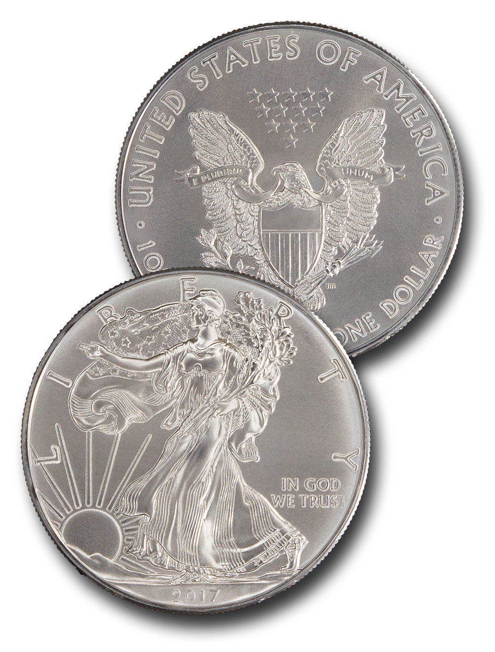 2017年 シルバーシールド シルバー 銀貨 1オンス CNSE17 - 2017 $1 American Silver Eagle - Mystic Stamp Company