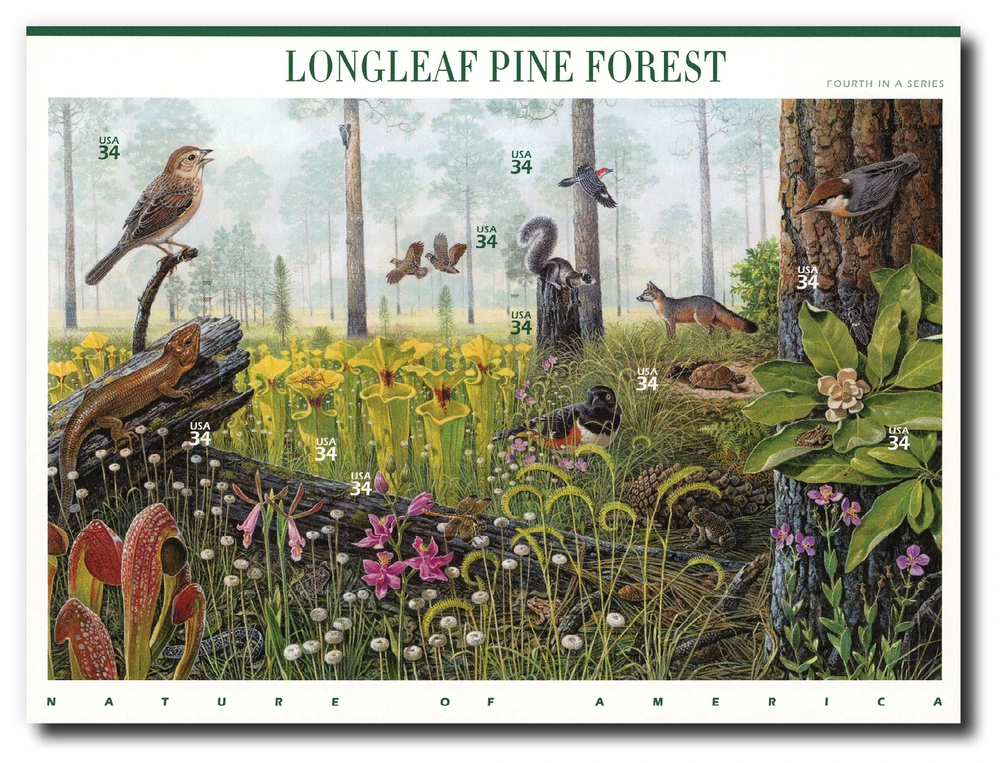 3611 - 2002 34c Nature of America: Longleaf Pine Forest - Mystic