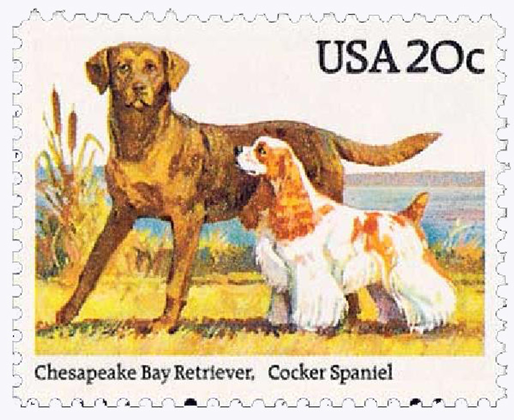 310096 -- Mint Stamp(s) -- Mint Stamp(s)