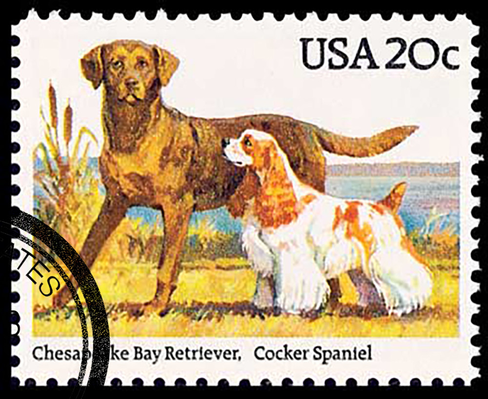 310097 -- Used Single Stamp(s) -- Used Stamp(s)