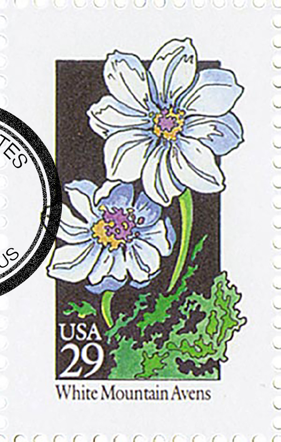2661 - 1992 29c Wildflowers: White Mountain Avens - Mystic Stamp