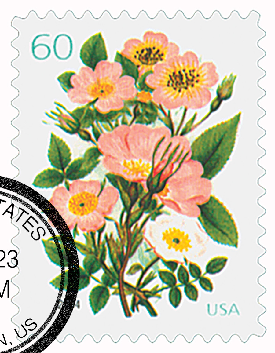 3837 - 2004 37c Wedding Series: Garden Botanical - Mystic Stamp