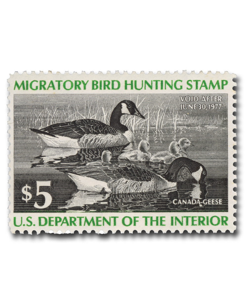RW43 1976 Federal Duck Stamp Canada Geese Mystic Stamp