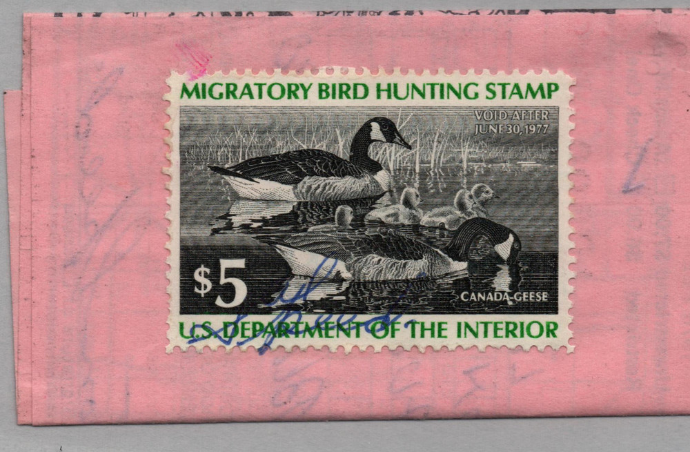 702668 -- Federal Duck on License -- Used Stamp(s)