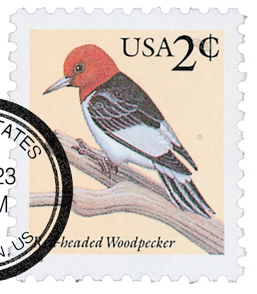 アート・デザイン・音楽 REDHEADED PECKERWOOD アート・デザイン・音楽