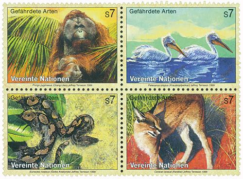 洋書 Missing and Endangered 洋書 Missing and Endangered 04a0a7c7-79da-471f-a5c8-