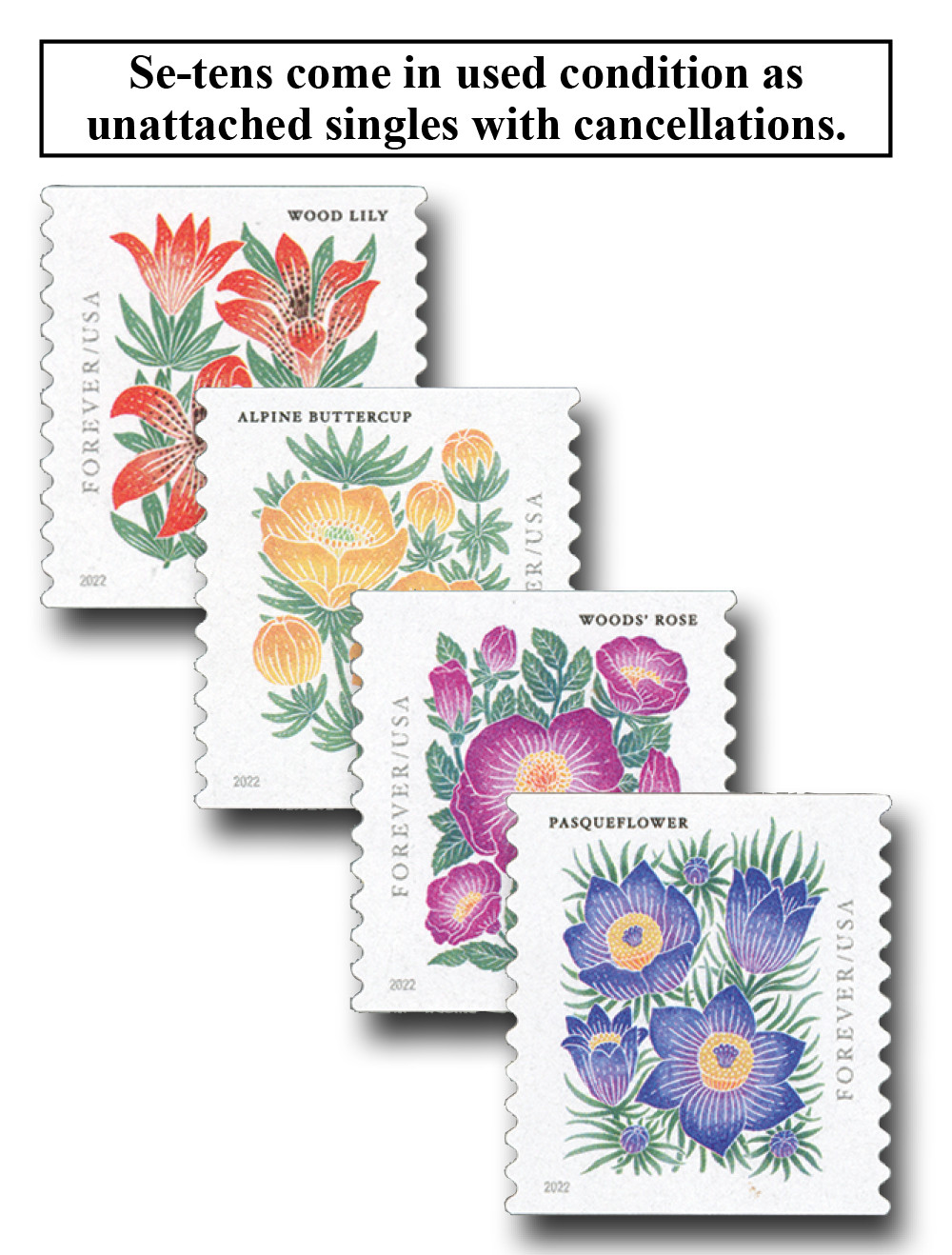【関税込み】AFTER PRAY ネイビー Flora Stamp フーディ Altenew Flourishing Bouquet Clear Stamp and Stencil Set