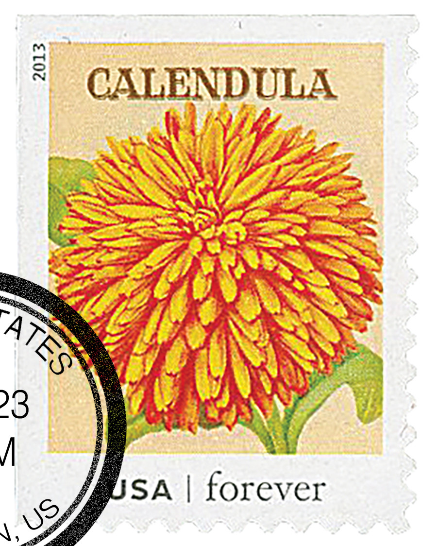 切手41 4755 - 2013 First-Class Forever Stamp - Vintage Seed Packets