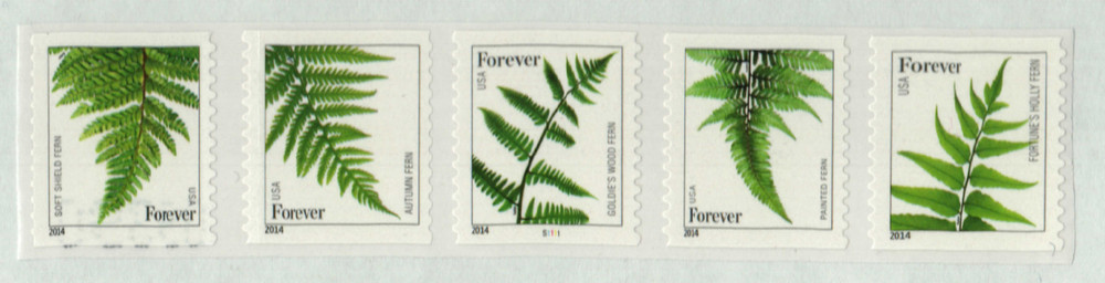 4973-77 - 2015 First-Class Forever Stamp - Ferns (with