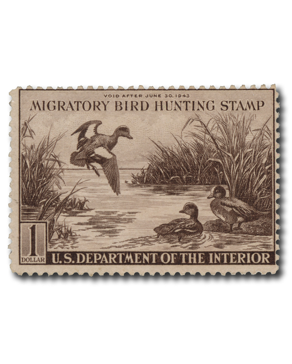 朔様、専用になります。 RW9 - 1942 $1.00 Federal Duck Stamp - Baldpates - Mystic Stamp Company