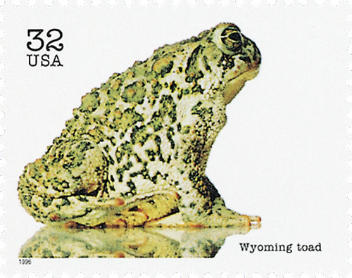 3105g - 1996 32c Endangered Species: Wyoming Toad - Mystic Stamp