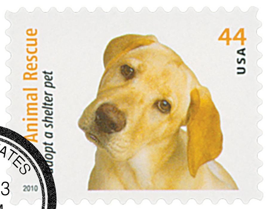4454 2010 44c Adopt a Shelter Pet: Yellow Lab Mystic Stamp Company