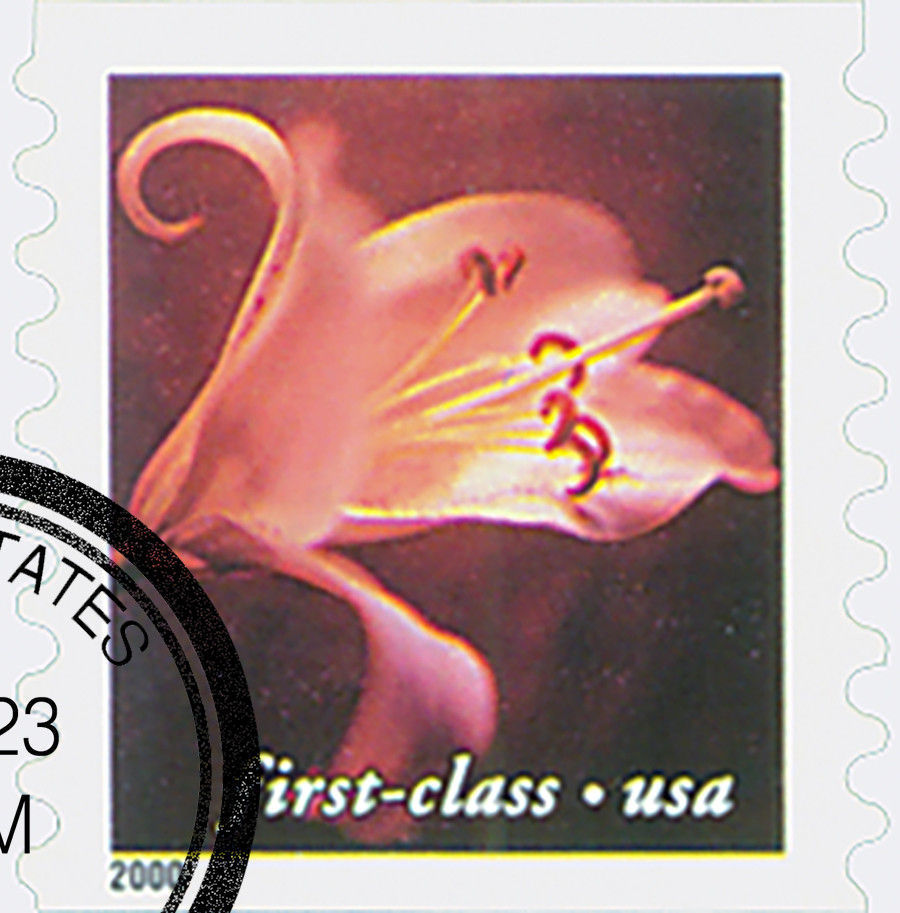 3463 - 2000 34c Flowers: Asian Hybrid, non-denominational coil