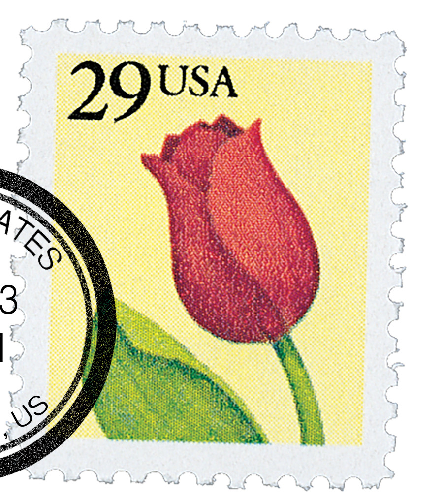 2524 - 1991 29c Flower - Mystic Stamp Company