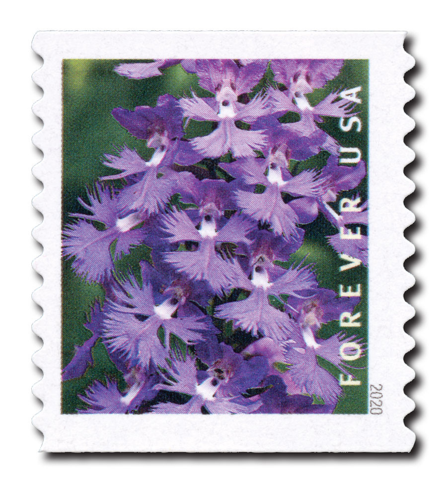 5435 - 2020 First-Class Forever Stamp - Wild Orchids (coil