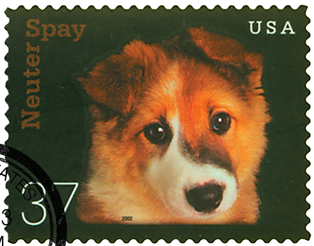 328211 -- Used Single Stamp(s) -- Used Stamp(s)