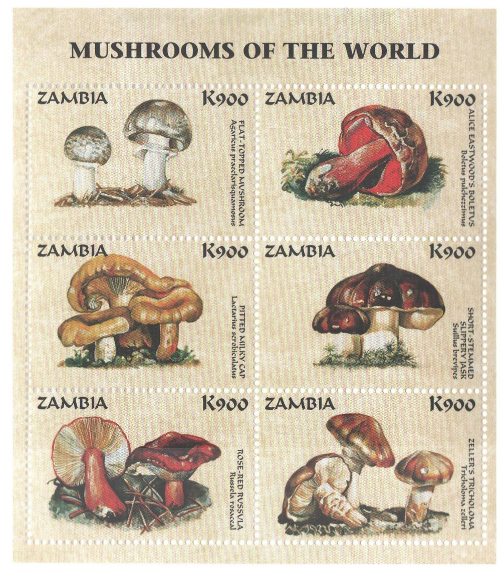 553637 -- Mint Sheet(s) -- Mint Stamp(s)