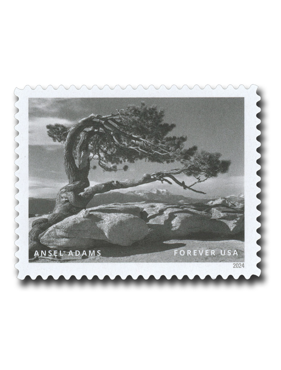 5854k - 2024 First-Class Forever Stamp - Photographs by Ansel
