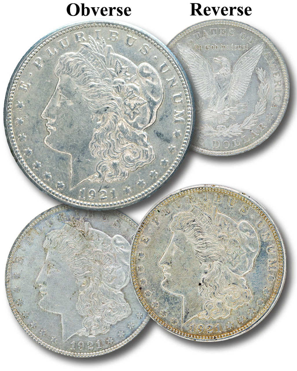 1921Morgan Silver Dollarモルガン・ダラー銀貨トーンコイン MCN096 - 1921 Morgan Silver Dollars, XF, Set of 3 - Mystic